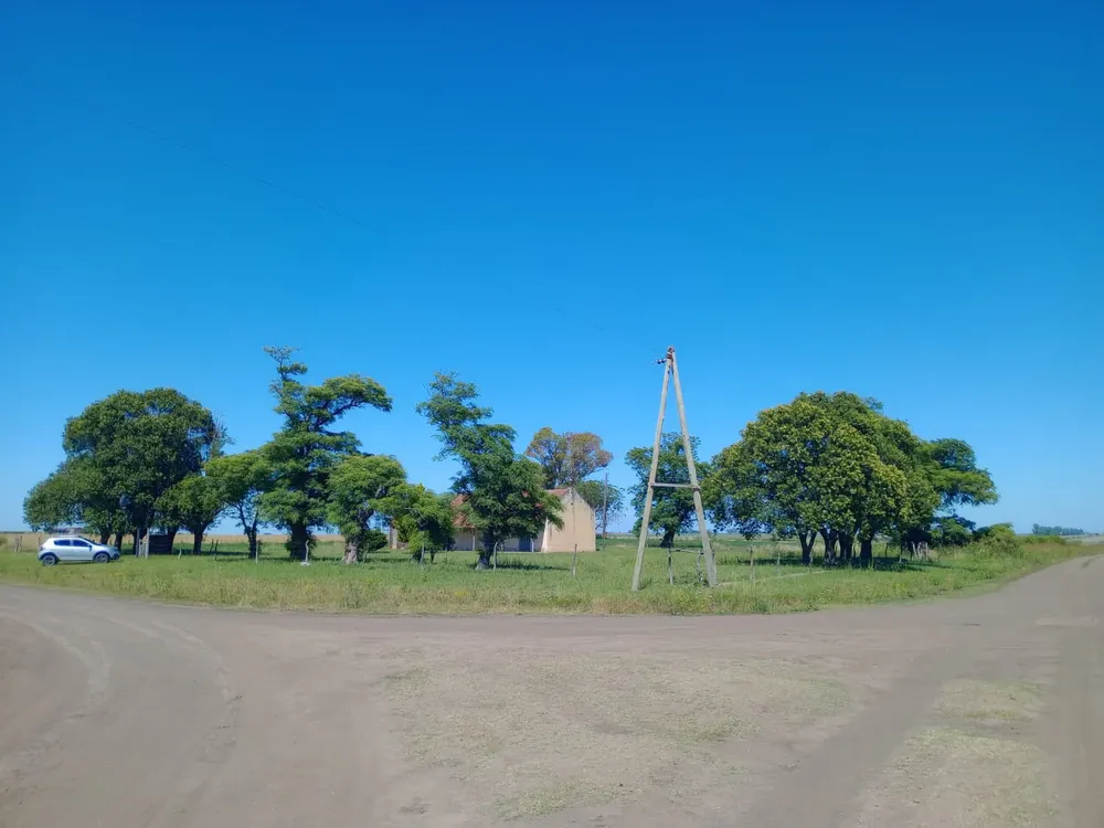 502718297_1105873001570031_7591372329537469774_n