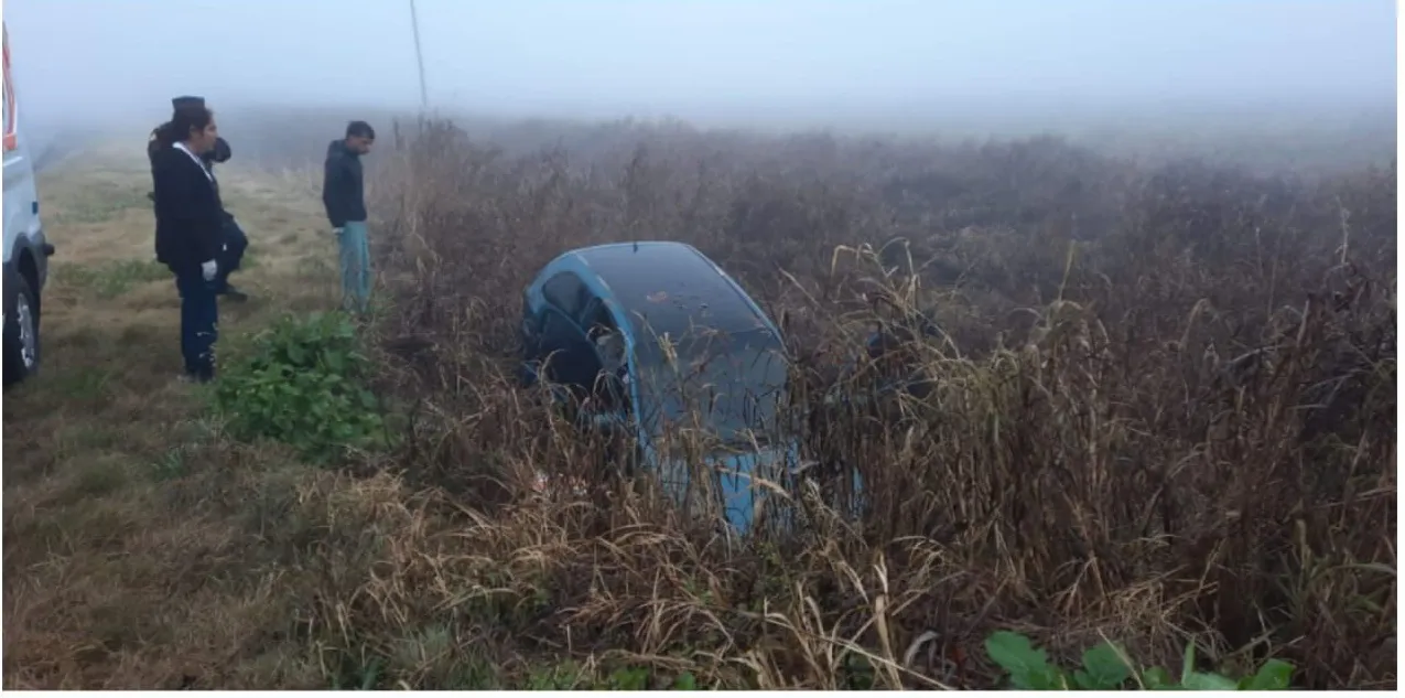 504446554_1183374260467123_6889954542837053309_n (1)