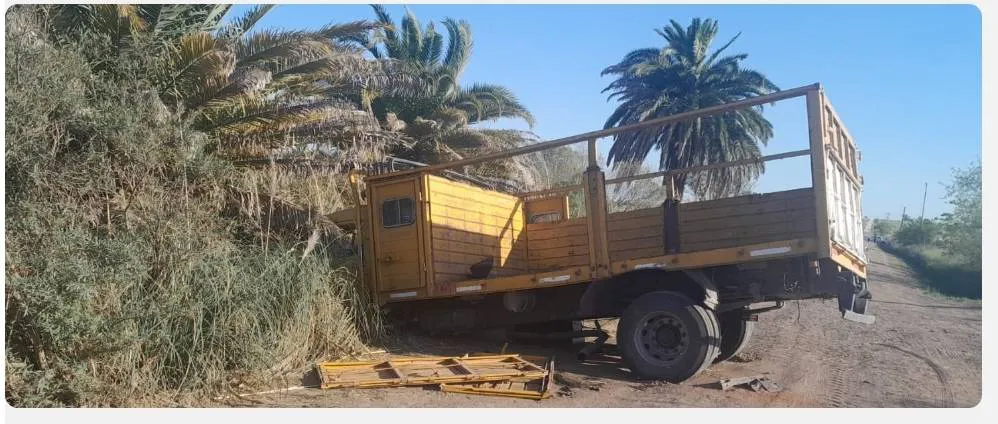 385876114_794665762669482_4485402968332543038_n