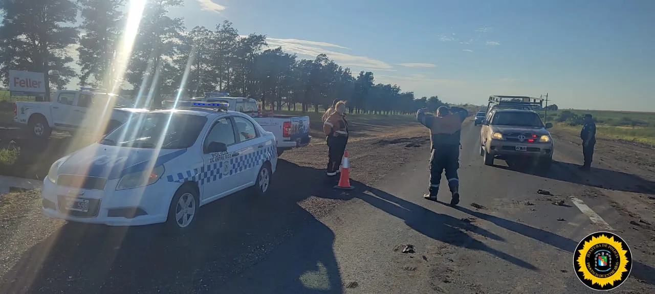 88838ef2-eb5a-4f70-8487-1482b0dc8f26