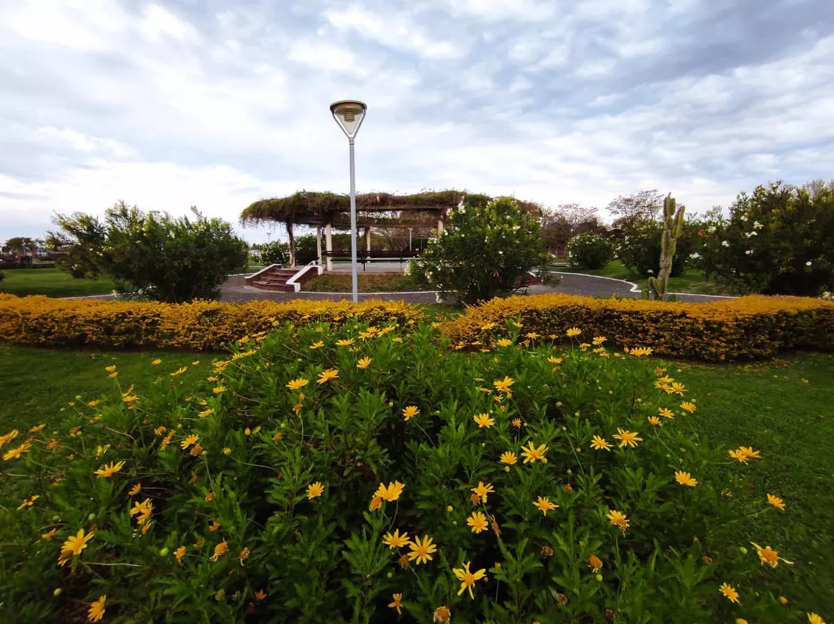 242236631_10224306447001524_6508014732488023121_n