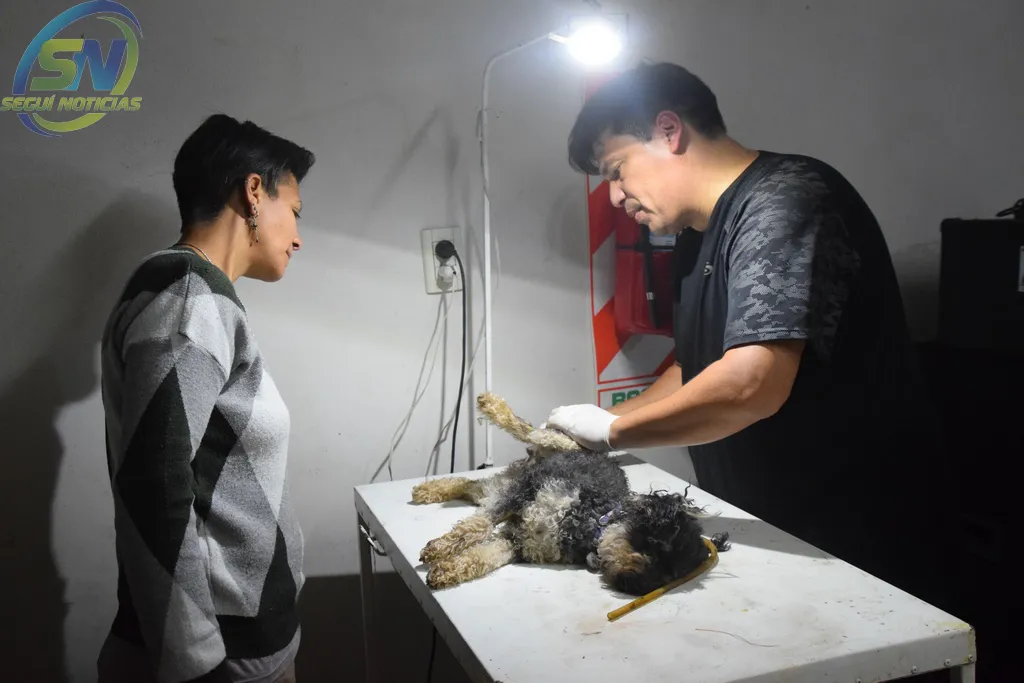 485059136_1064119305733742_158625183871985415_n