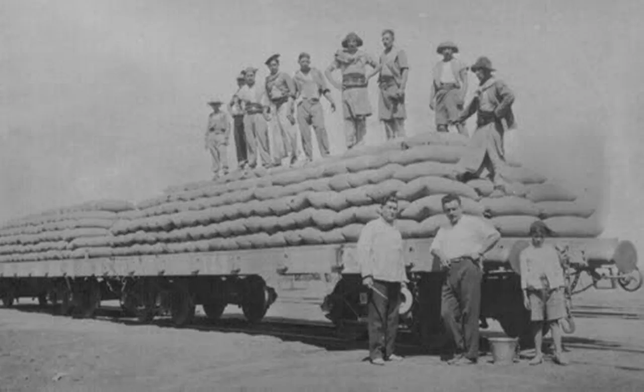 373578878_790448083081785_4802375103271908106_n