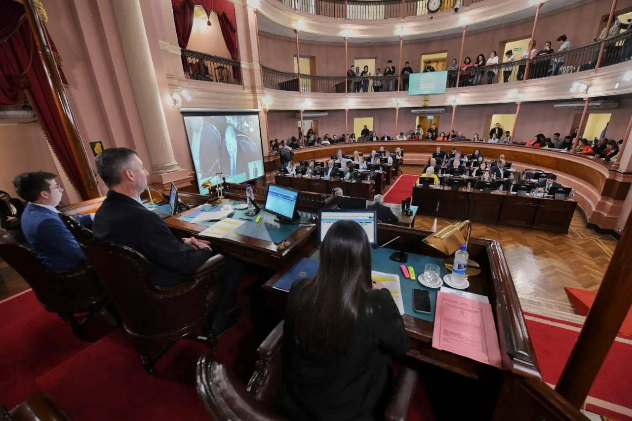 apfdigital_400983_tapa_462024_1146