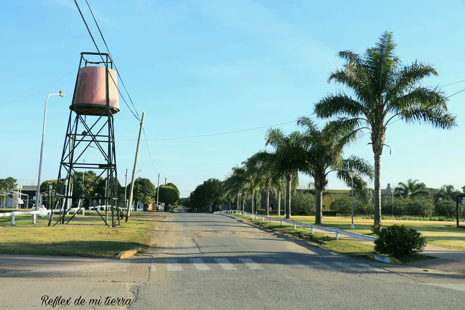 355300916_591259386488101_3750456957100242943_n