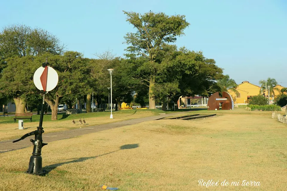 355472281_591258916488148_2149165203974022880_n