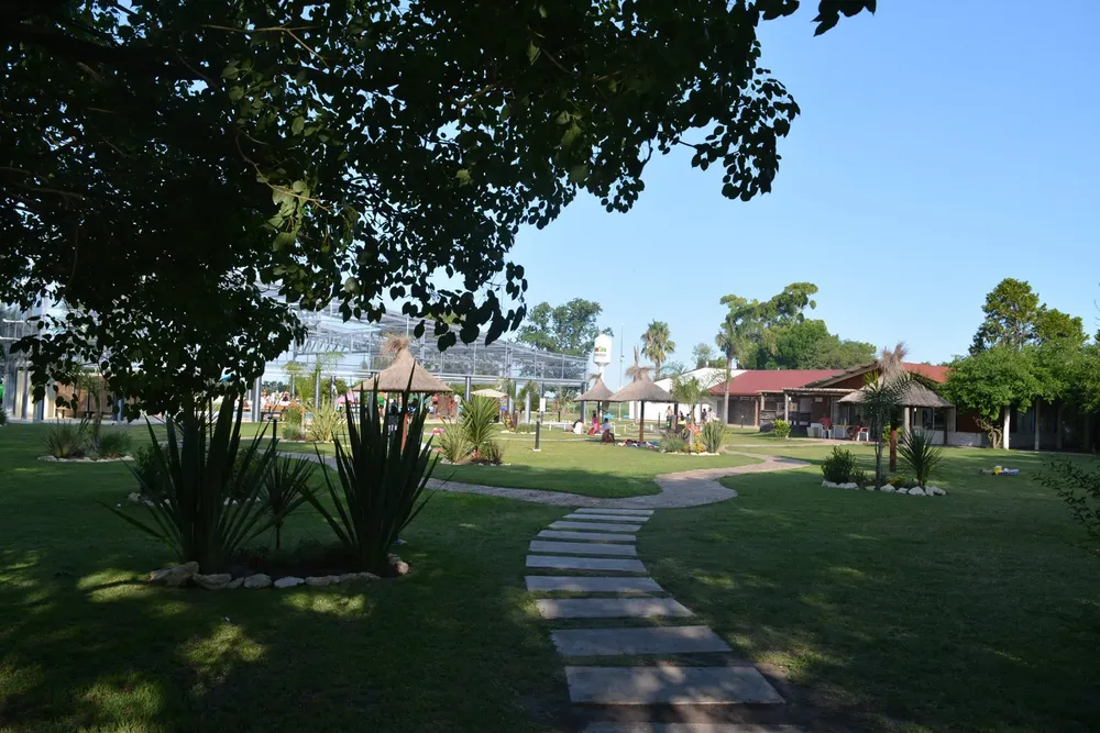 82823631_2969148316463895_3527335620911300608_n