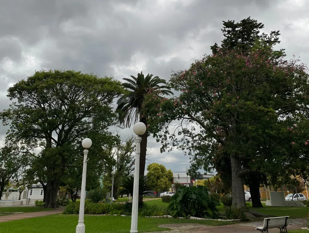 8e96955c-fbc8-47b1-8a54-410ca7c1b652