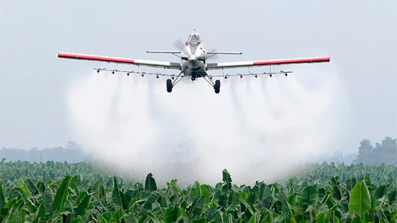 apfdigital_399808_tapa_652024_135117