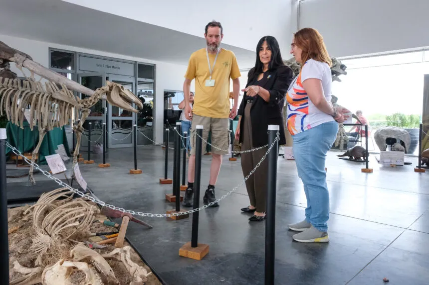 2025_1127_103636002-2647-860x573