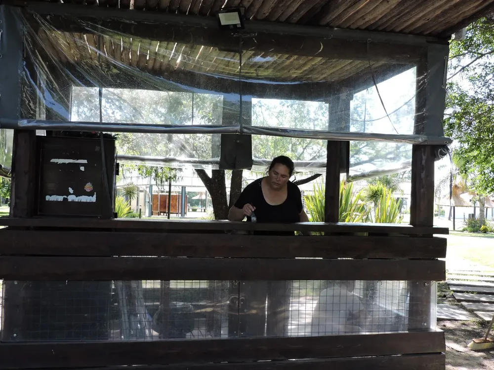 ed92b20a-6573-47a5-8d6a-1824d5df4717