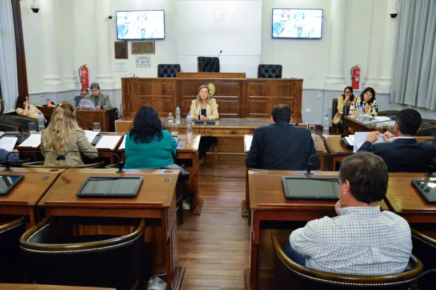 WhatsApp-Image-2024-11-26-at-13.49.44-860x573 (1)