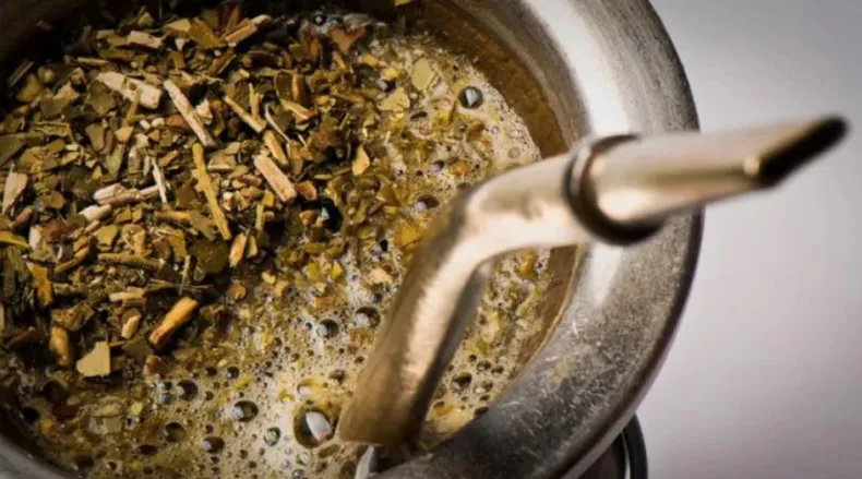 yerba-matejpg