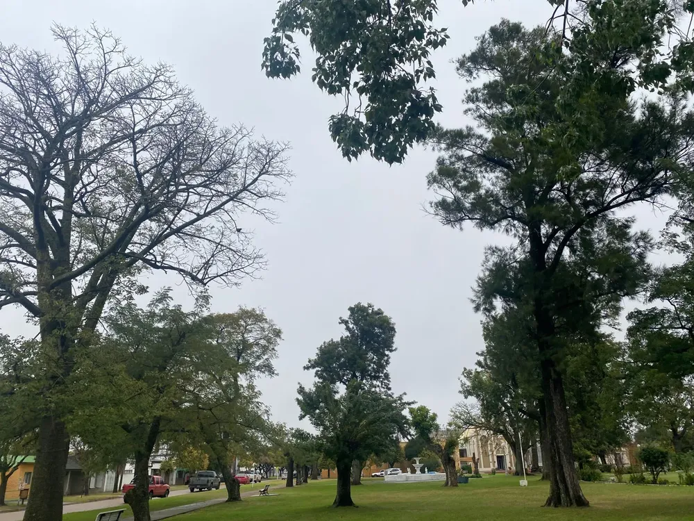 445f0527-5dc5-4eb4-bc38-3621800dc87f