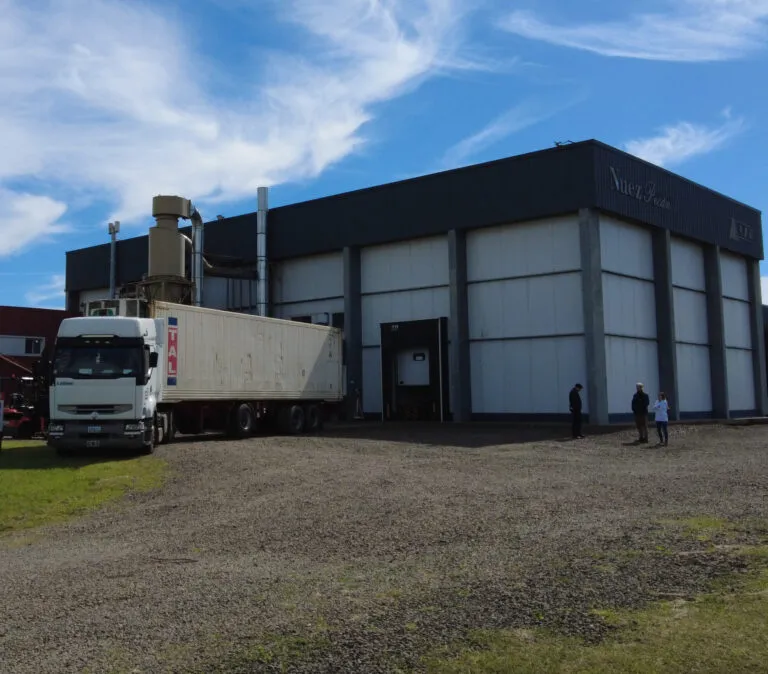 DJI_0339-scaled-e1757019280805-768x674