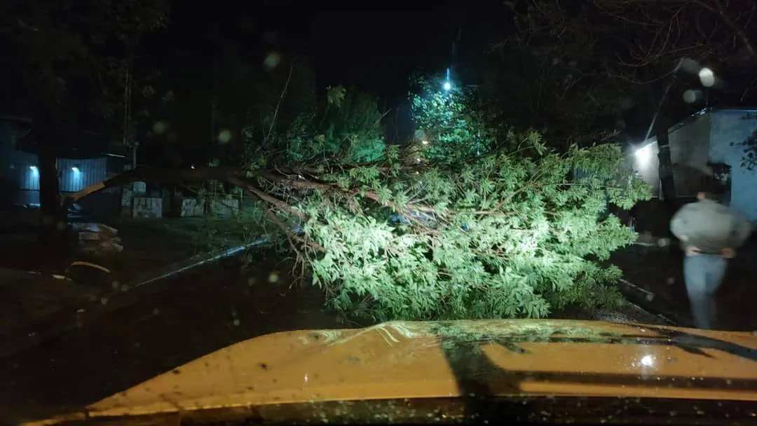 461766459_987950446676173_8849847223054480979_n