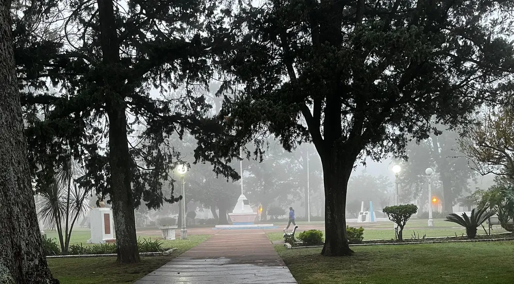 55925bef-0cfe-4490-8c08-b4c38cc26740