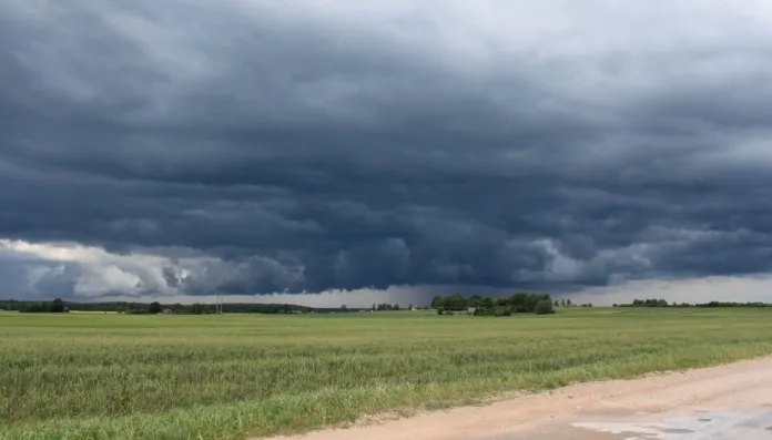 lluvias-campo-corrientes