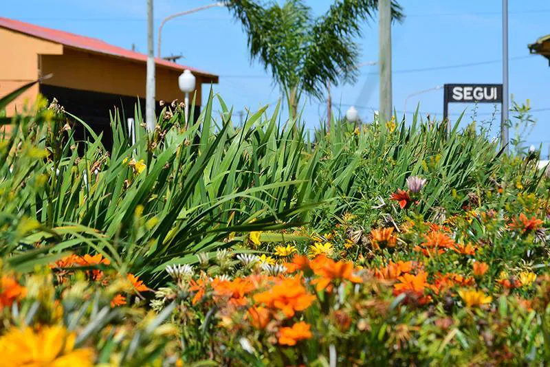 13939591_1228968207148590_2991040081532329508_n