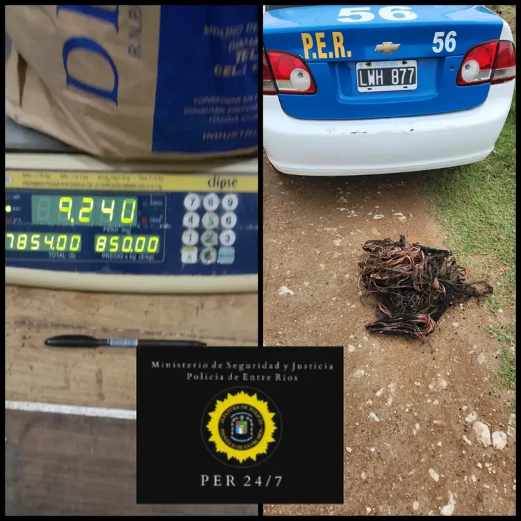 multimedia.normal.a43dd09099b39815.SU1HLTIwMjQwMjIzLVdBMDAyNl9ub3JtYWwud2VicA==