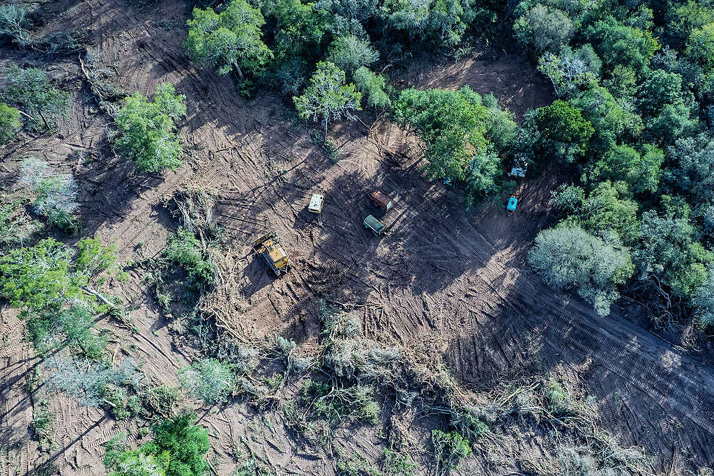 0c1ada4d-formosa-1-©-martin-katz-greenpeace-1024x683