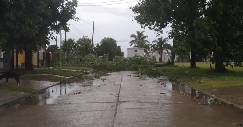 409192523_757252043087138_7749096824507549950_n