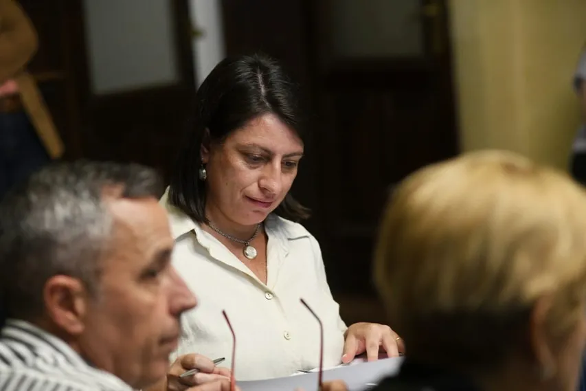 laner comision