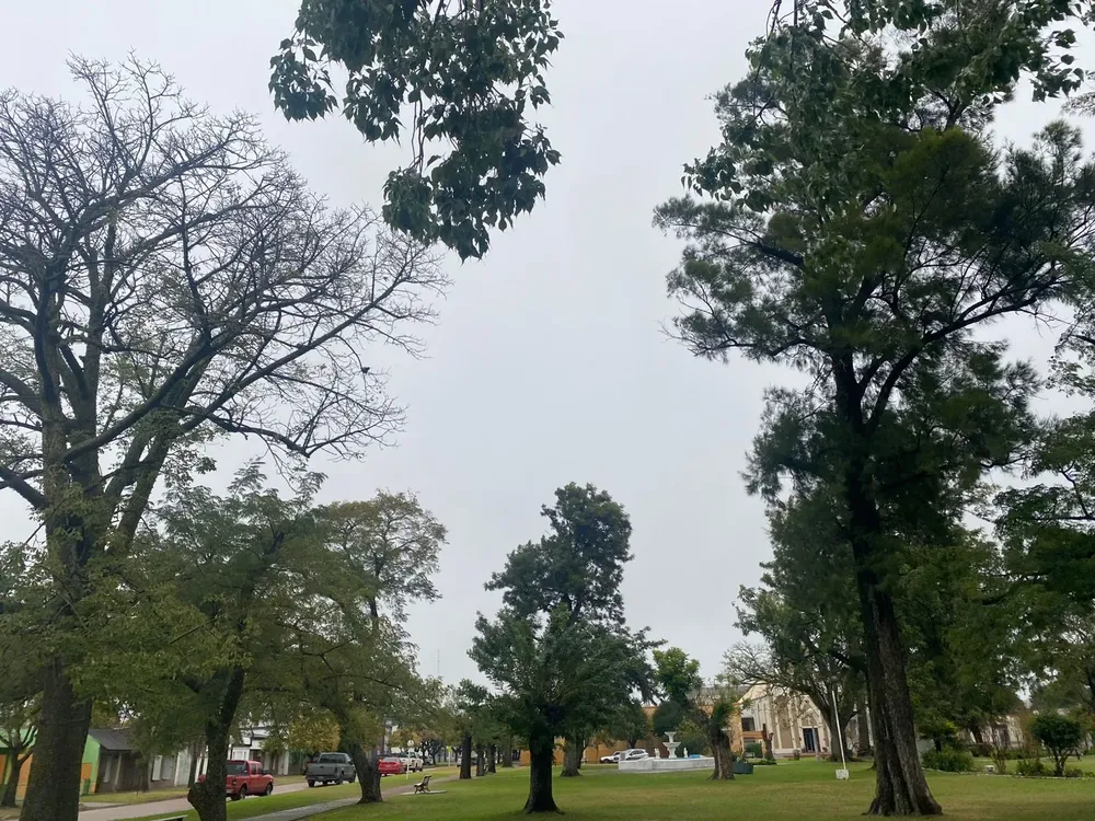 253af3ed-f179-43f7-a718-91a58dfda3f3