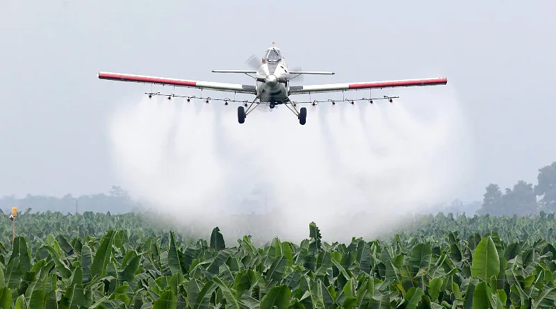 apfdigital_397651_tapa_632024_145855