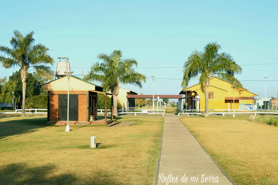 355287902_591259269821446_7017317145957474572_n