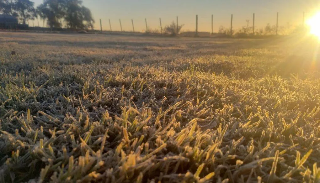 multimedia.normal.a334e6ea938f325b.aGVsYWRhc19ub3JtYWwud2VicA==