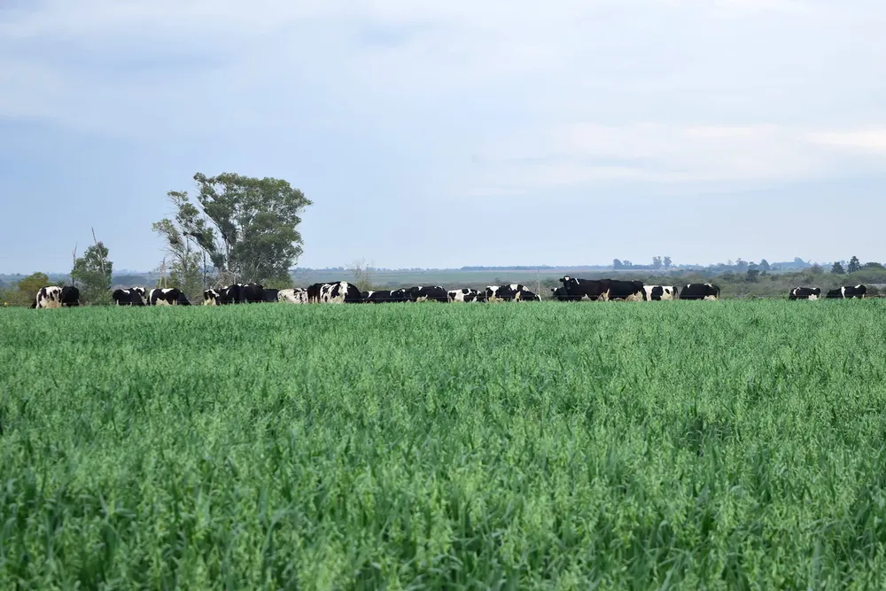 345472895_1370372850474651_3375433469297177134_n